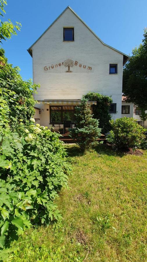 Gasthof Grüner Baum Kirchberg am Wechsel Dış mekan fotoğraf