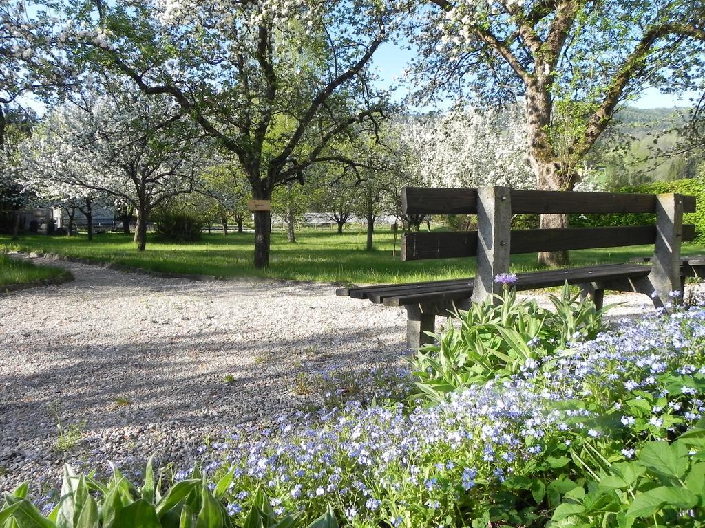 Gasthof Grüner Baum Kirchberg am Wechsel Dış mekan fotoğraf