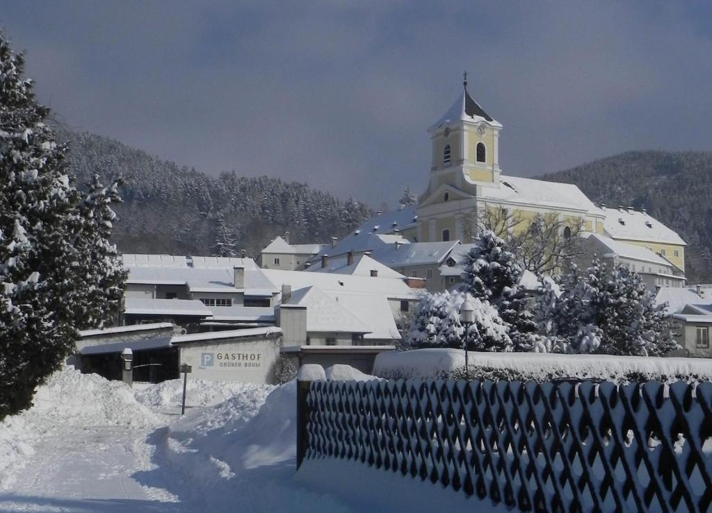 Gasthof Grüner Baum Kirchberg am Wechsel Dış mekan fotoğraf