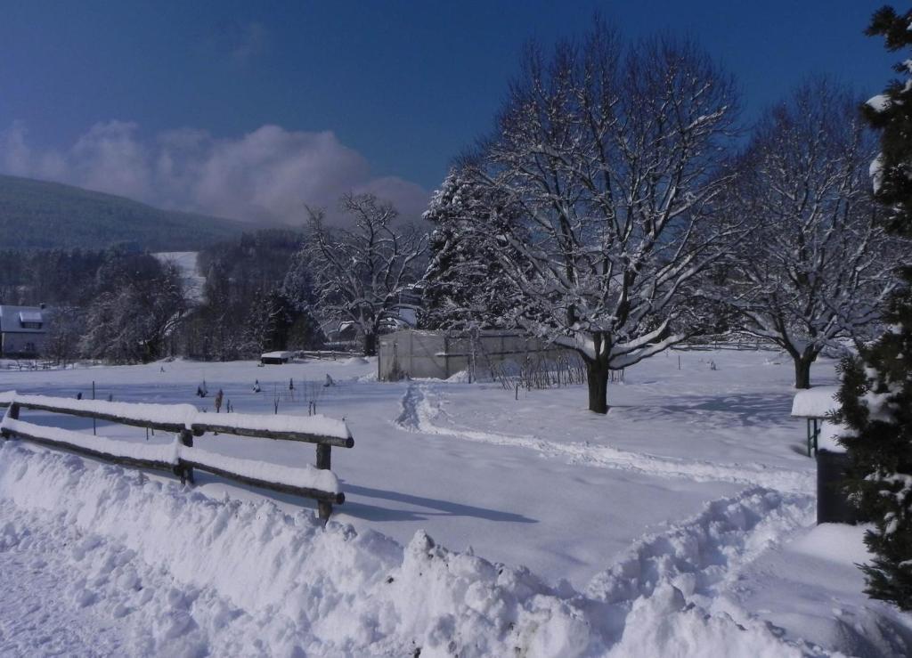 Gasthof Grüner Baum Kirchberg am Wechsel Dış mekan fotoğraf