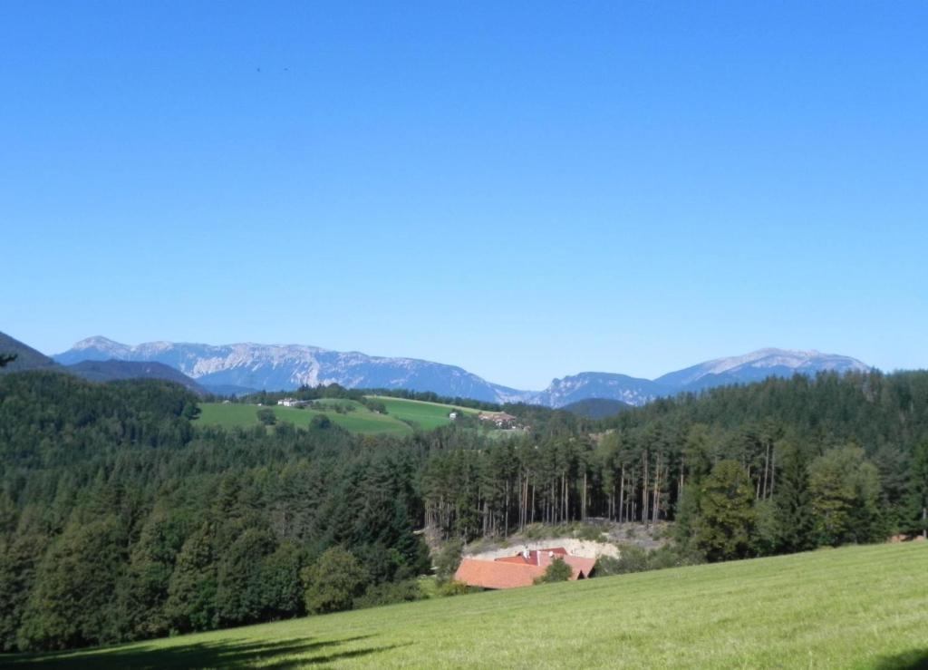 Gasthof Grüner Baum Kirchberg am Wechsel Dış mekan fotoğraf